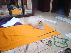 ������ ����� �&nbsp;����� �������, ����������� �&nbsp;����� ����� ����