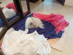 ������ ����� ��&nbsp;����������� �������