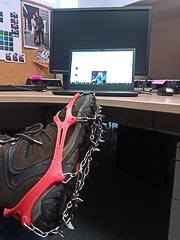 ���� ���&nbsp;�����