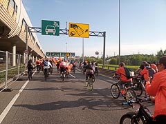 ����� ��&nbsp;��� �&nbsp;������������ ���������