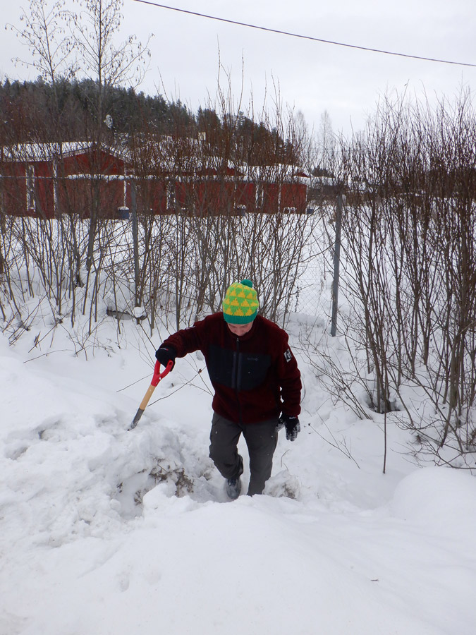 ���� ������ ������ ����� ������ ����� �������