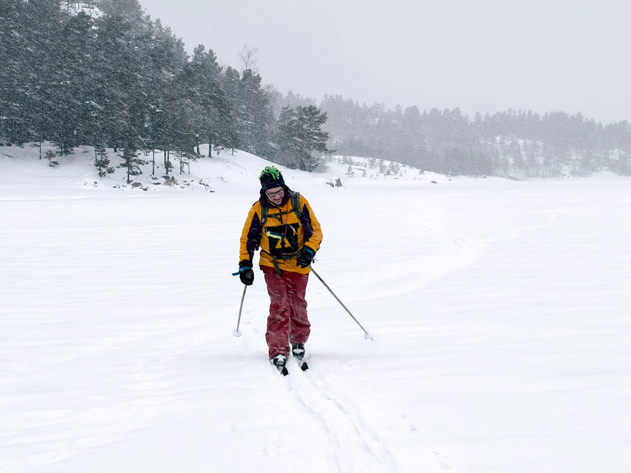 ������� ���������