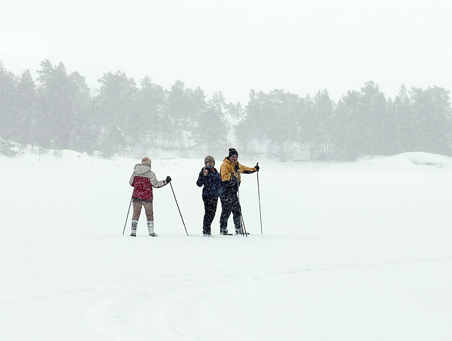 ˸���� ������