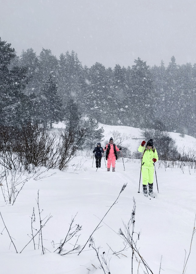 ���� �&nbsp;������ ��������� (�������)