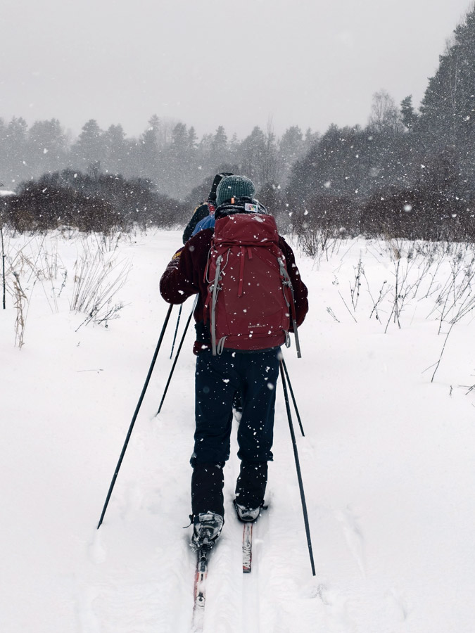 ���� �&nbsp;������ ��������� (�������)