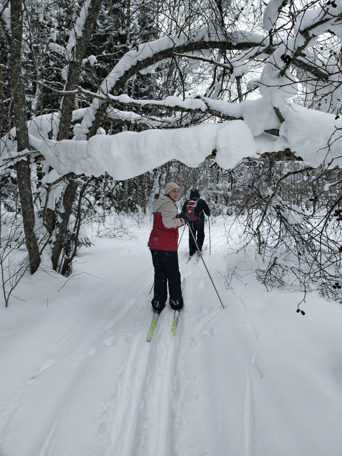 ���� �&nbsp;������ ��������� (�������)