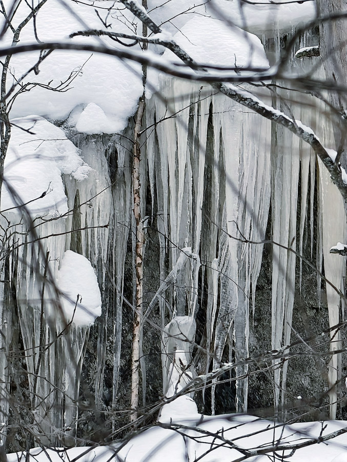 �������� ��&nbsp;������