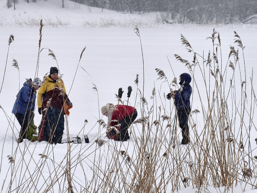 ������� �&nbsp;������ ��������� (�������)