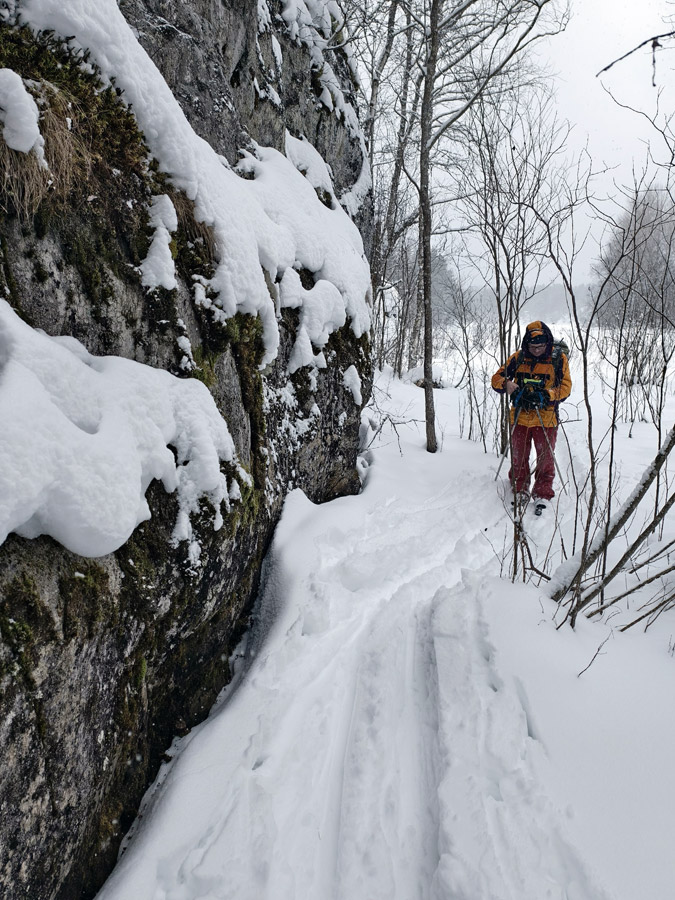 ���������� ������ ������ ��������� (�������)