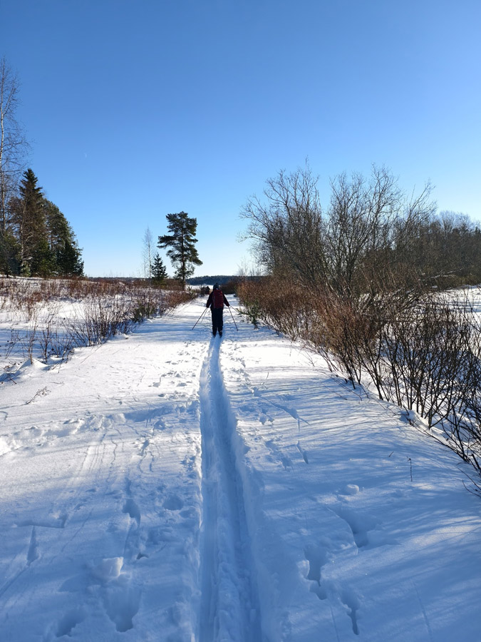 ����� �&nbsp;����� �����