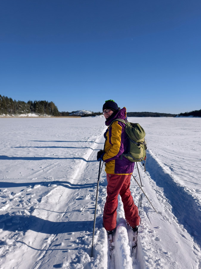 ������� ���������