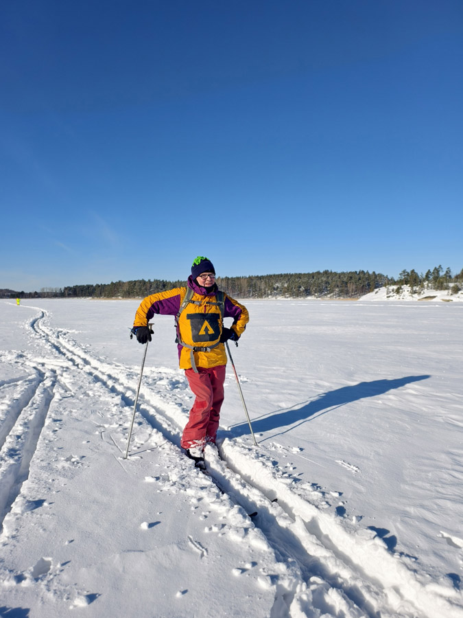 ������� ���������