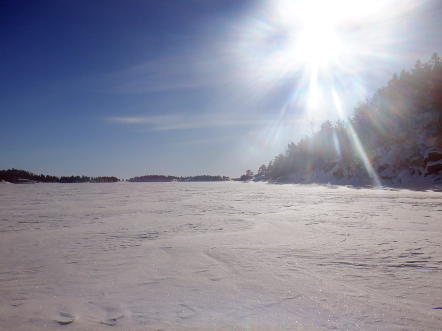 ����� ������� �����������