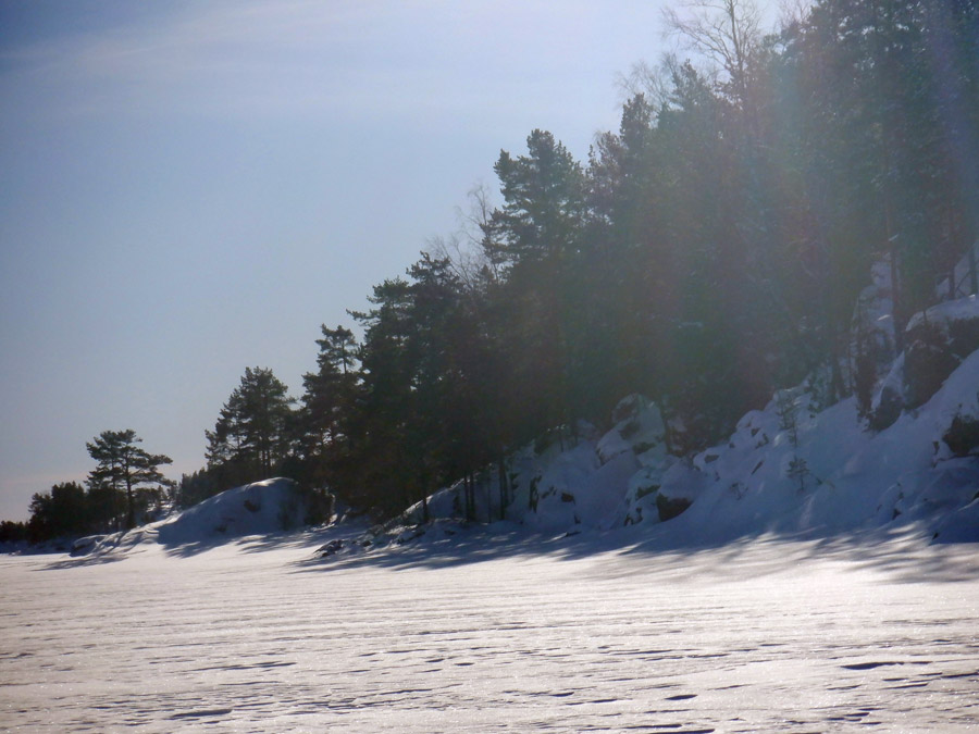 ����� ������� �����������