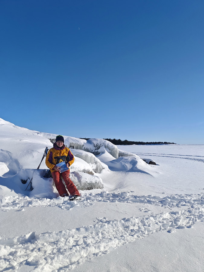 ������� ���������