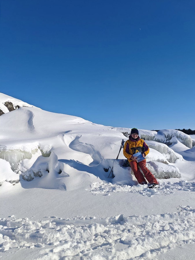 ������� ���������