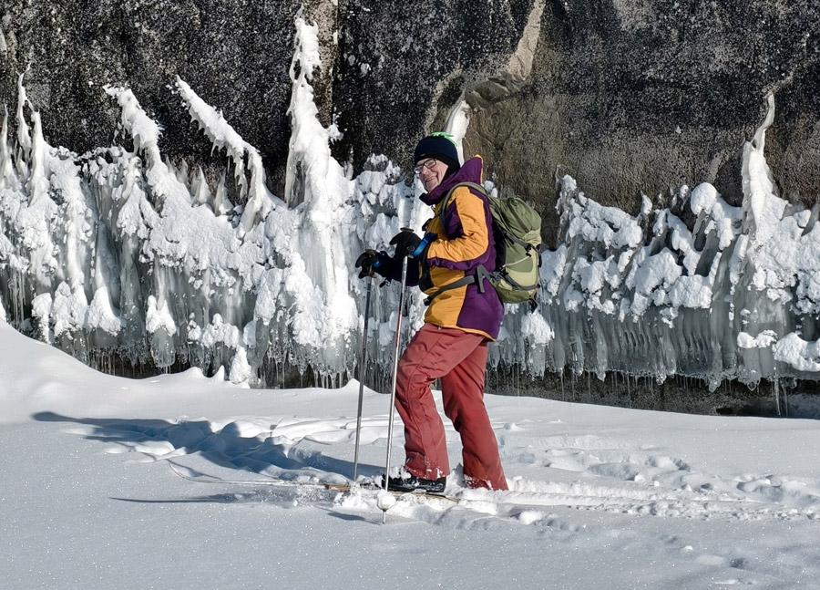 ������� ���������