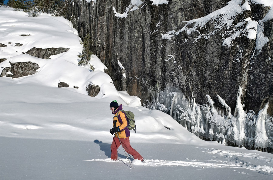 ������� ���������